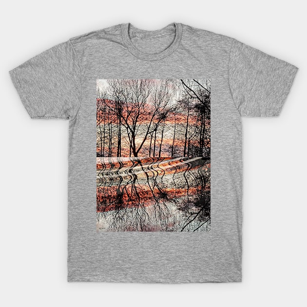 Sunset T-Shirt by danieljanda